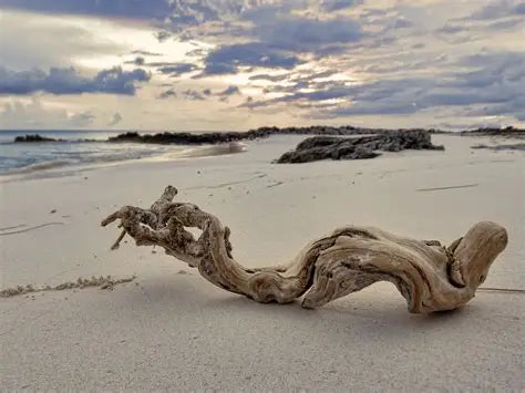 Perfume 30 ml Rain + Driftwood