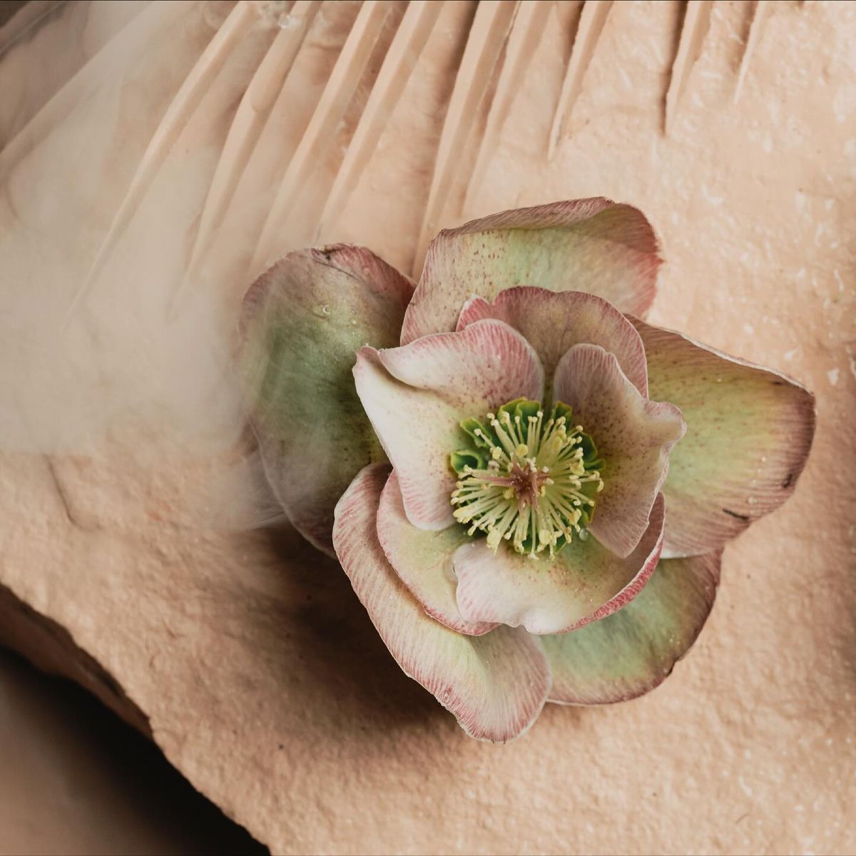 10 ml Perfume Oil - The Bohemian